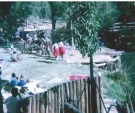 Mowanjum dancers 1971